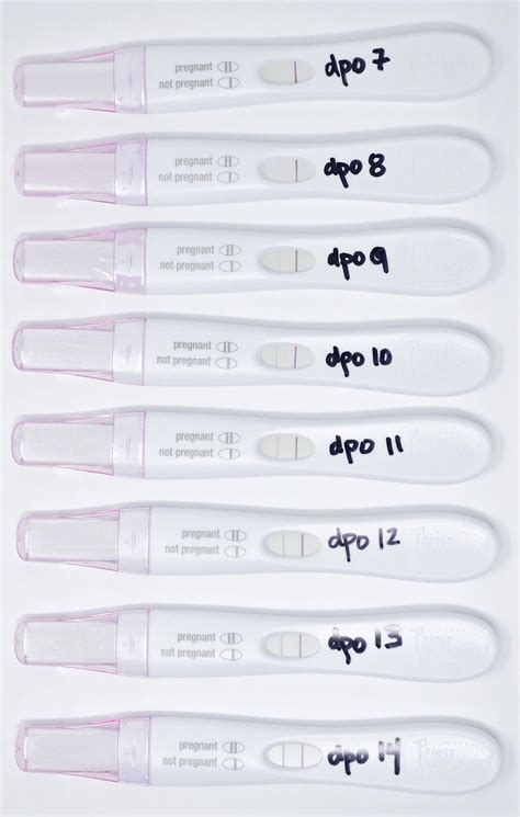 dpo pregnancy test|latest dpo positive pregnancy test.